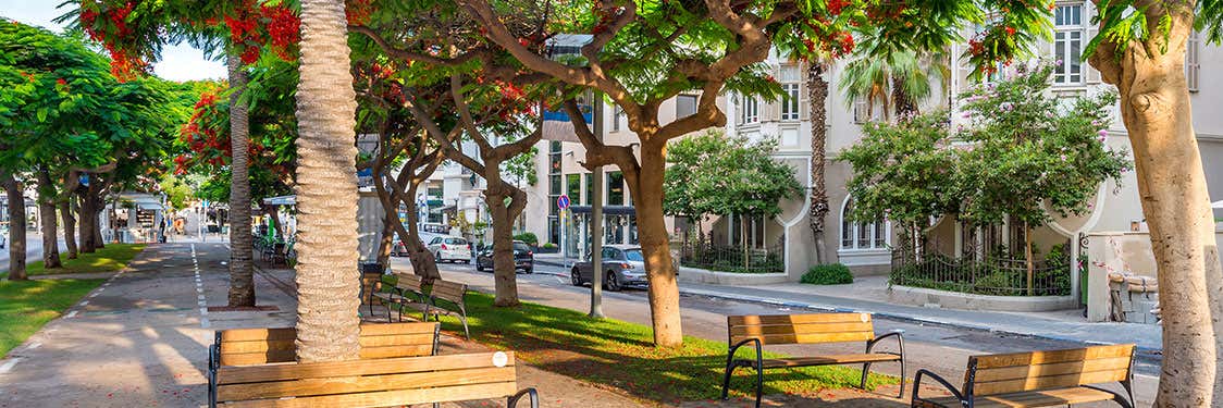 Rothschild Boulevard